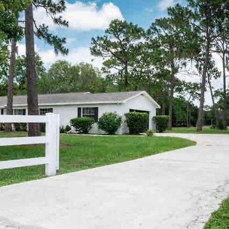3Bdr2Bath Home In Lutz Close To Tampa, 20 Min To Stadium, Airport 外观 照片