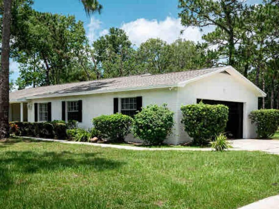 3Bdr2Bath Home In Lutz Close To Tampa, 20 Min To Stadium, Airport 外观 照片