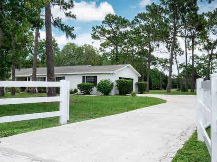 3Bdr2Bath Home In Lutz Close To Tampa, 20 Min To Stadium, Airport 外观 照片